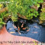 Cách Trang Trí Tiểu Cảnh Sân Vườn