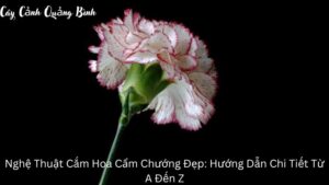 Nghệ Thuật Cắm Hoa Cẩm Chướng Đẹp: Hướng Dẫn Chi Tiết Từ A Đến Z