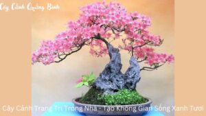 Cây Cảnh Trang Trí Trong Nhà – Tạo Không Gian Sống Xanh Tươi